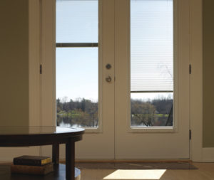 Garden Door with Mini-blinds